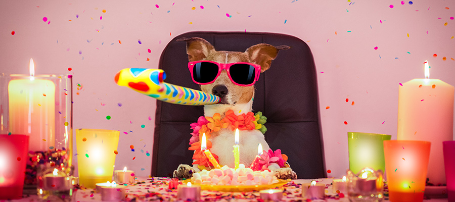 freizeitsonne-header-kategorie-geschenke-themen-geburtstag